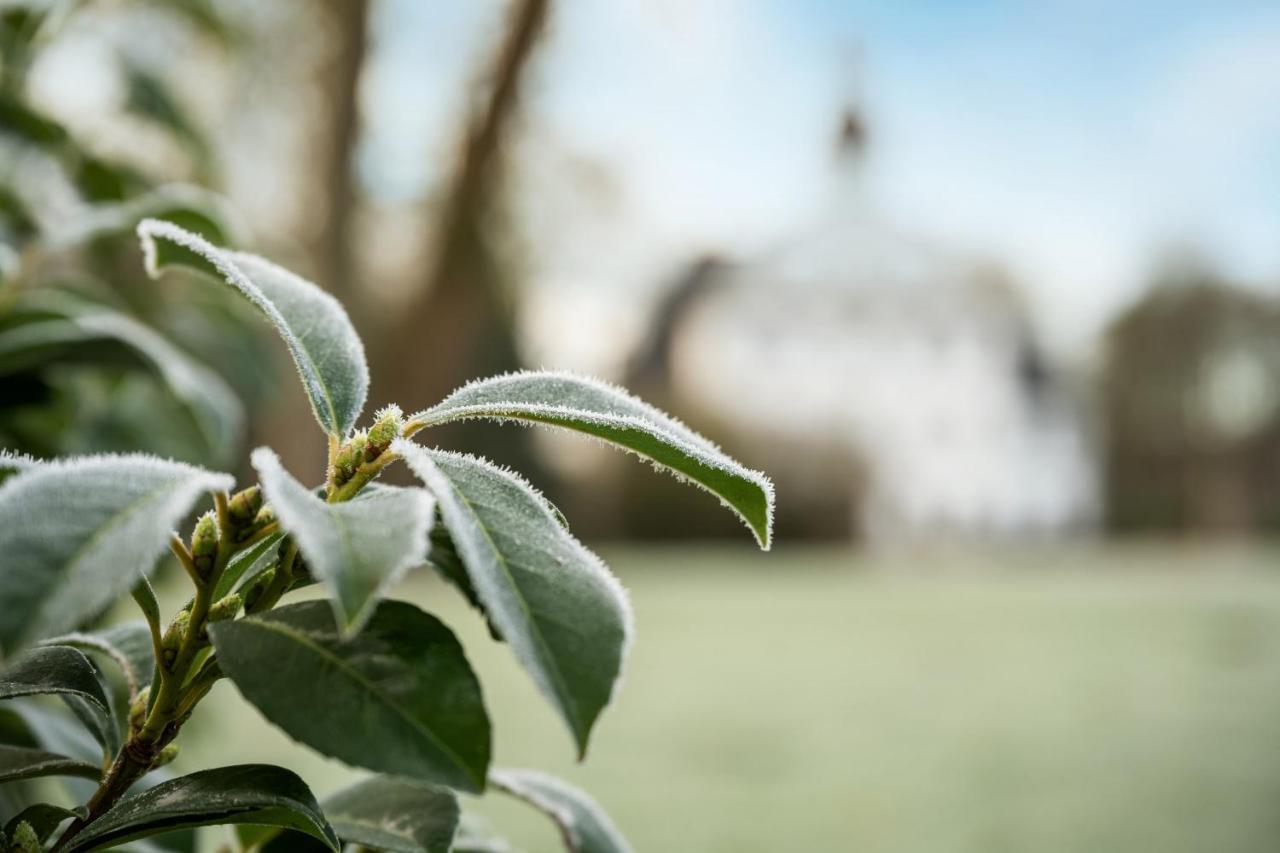 Premium Penthousewohnung Im Schloss - Gut Kletkamp Exteriér fotografie